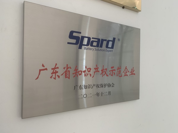 世豹新能源榮獲2021年度廣東省知識產權示范企業